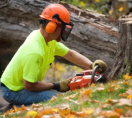 tree services Ord